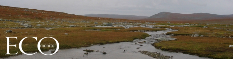 Der Pyhselk-See bei Joensuu
