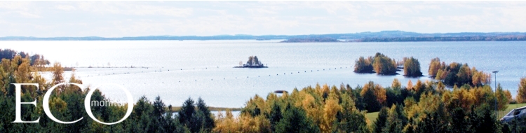 Pyhseln vedenlaatu selvitetn vesisttutkimuksen avulla