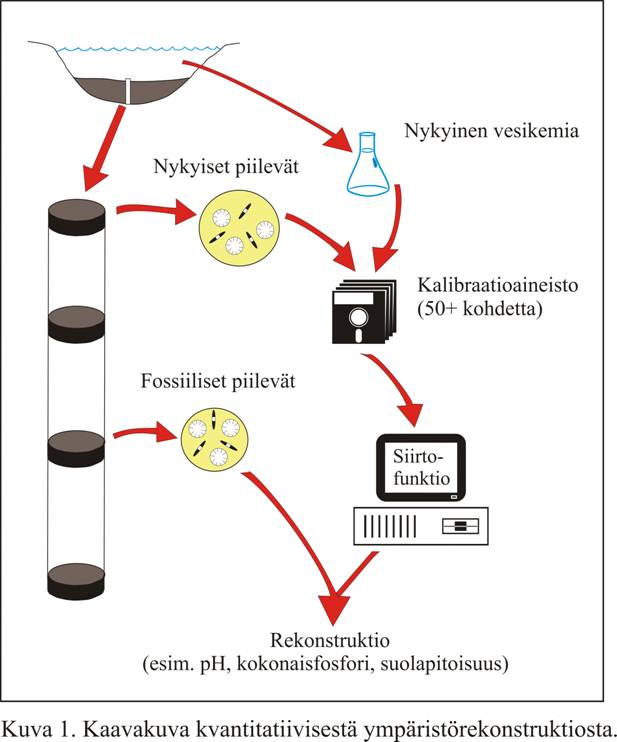 Kaavakuva paleolimnologisesta menetelmst